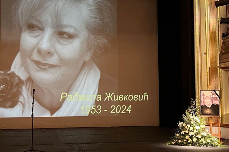 Komemoracija Radmile Živković