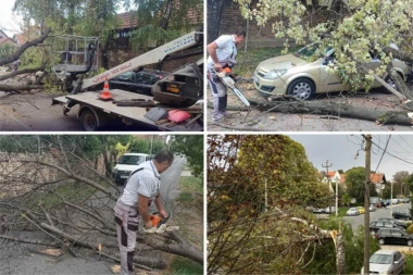 NEVREME PARALISALO DELOVE SRBIJE! Vetar nosi sve pred sobom, čupao drveća, stabla padala na vozila!  NAJGORE TEK PRED NAMA! (FOTO)