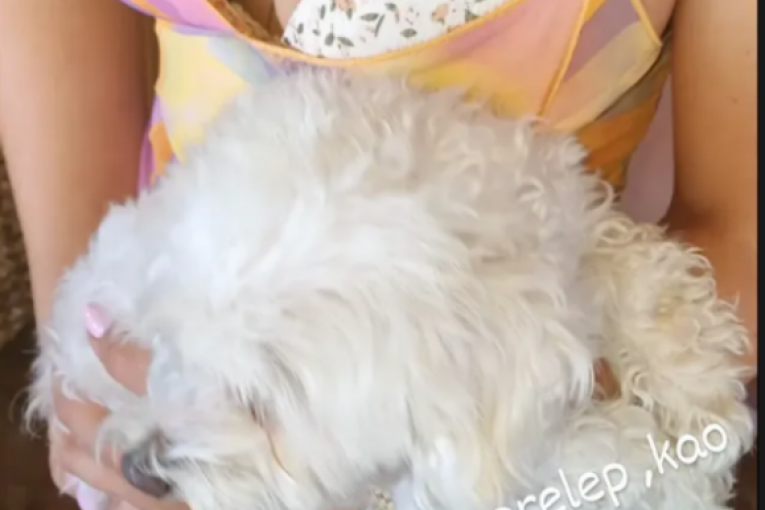 Marko Janjušević Janjuš nova devojka