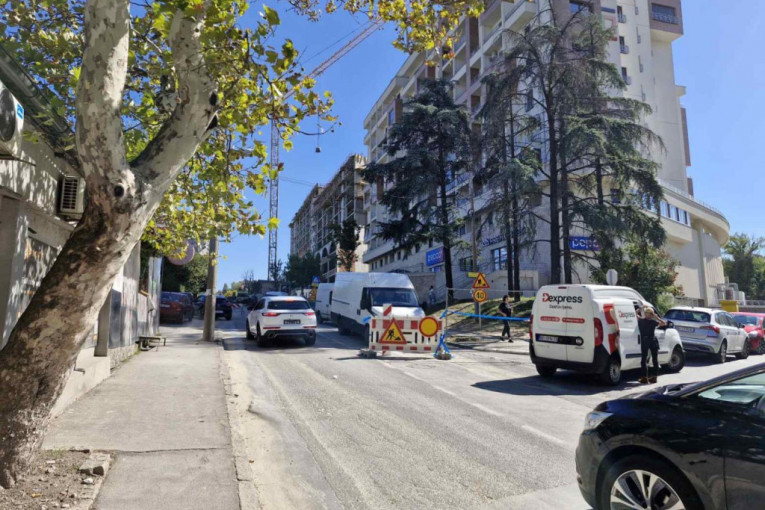 Dragoslava Srejovića, zatvorena ulica