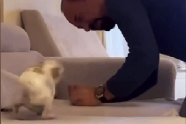 Mile Kitić Instagram