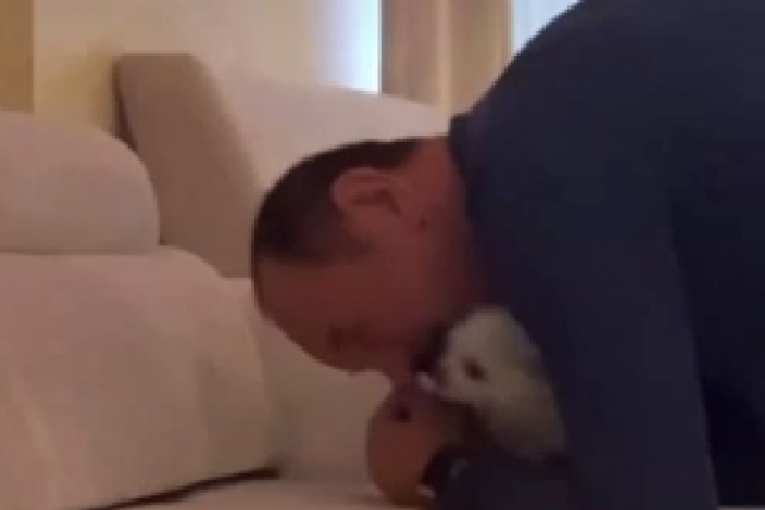 Mile Kitić Instagram