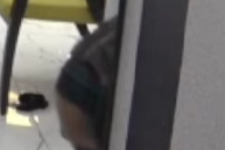 Anđela Đuričić Elita 8 Zadruga uživo