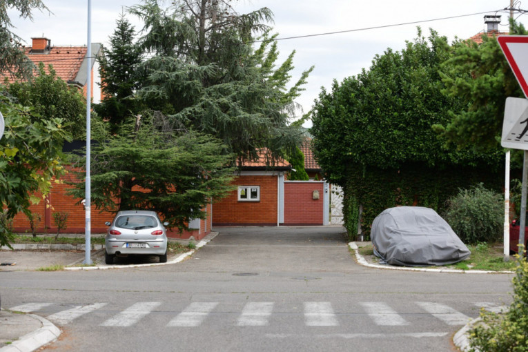 Saša Popović, vila