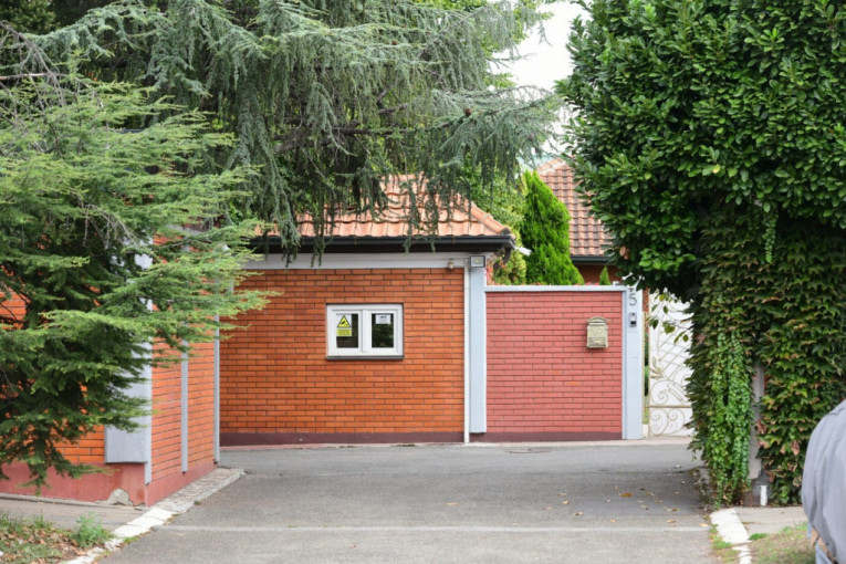 Saša Popović, vila