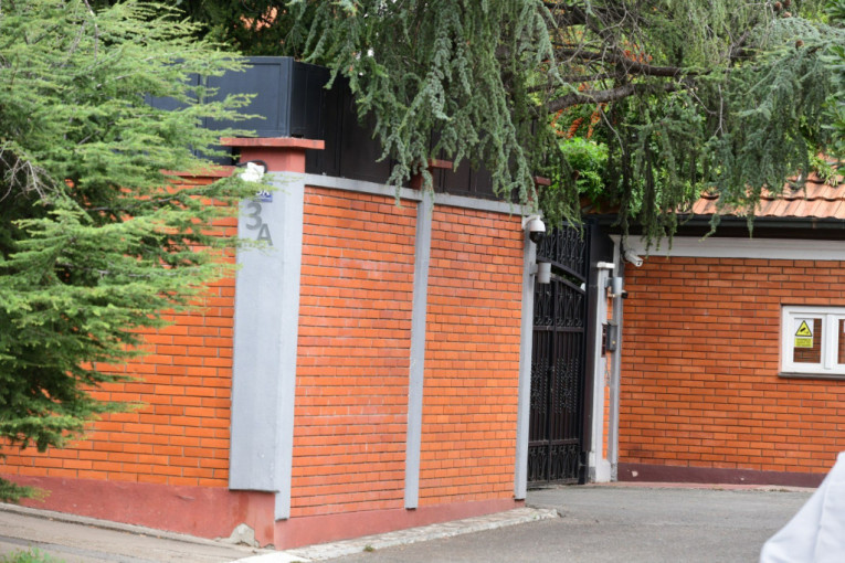 Saša Popović, vila