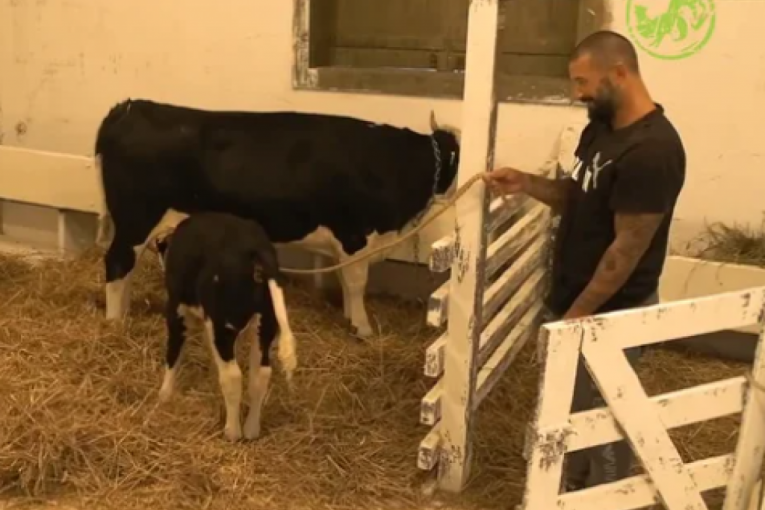 Nikola Lakić Farma 8