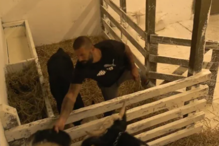 Nikola Lakić Farma 8