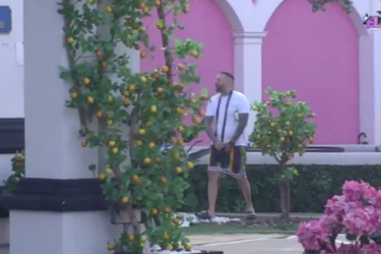 Nenad Aleksić Ša Elita 8 uživo