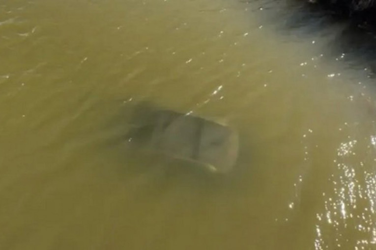 DRIVER HAD NO CHANCE! See the dramatic footage of the body being recovered from a car that fell into a lake near Bečmen! (DISTURBING VIDEO)