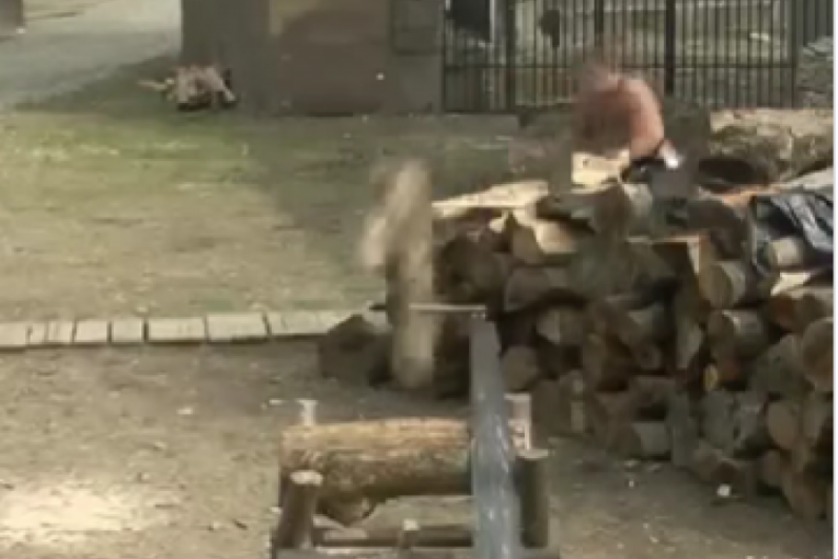 Boža Džons Farma 8 