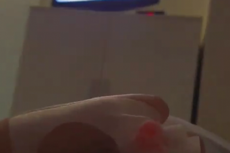 Ana Nikolić Instagram Elita 8 