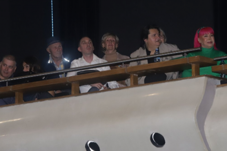 Lepa Lukić na koncertu Snežane Đurišić