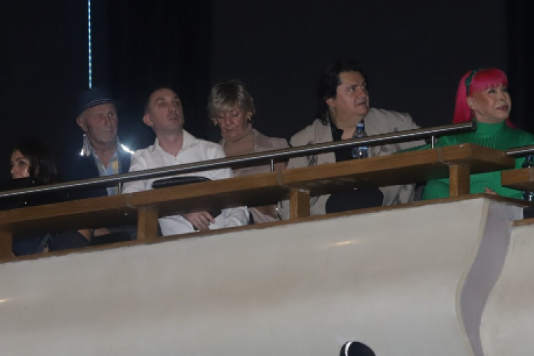 Lepa Lukić na koncertu Snežane Đurišić