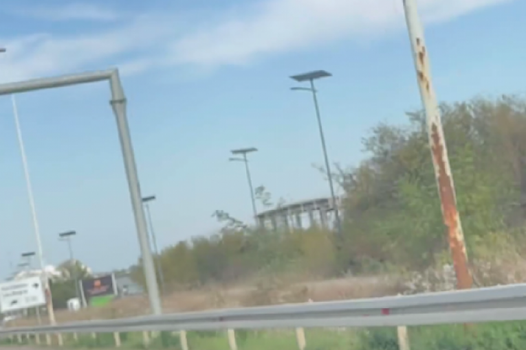 Ana Radulović Instagram