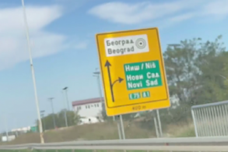 Ana Radulović Instagram