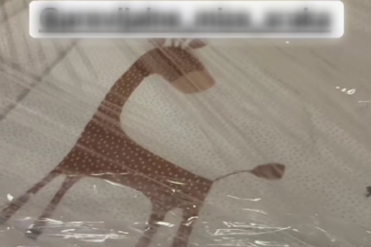 Milica Veličković Instagram