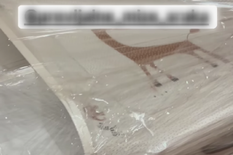 Milica Veličković Instagram