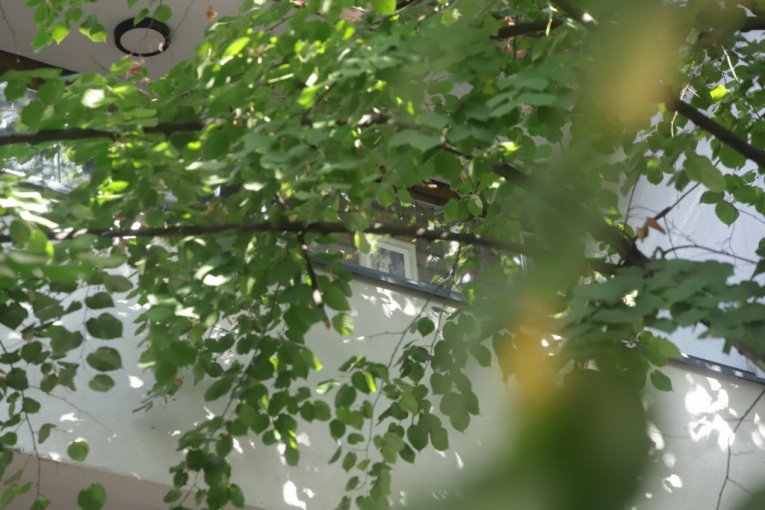 Ovo je zgrada u kojoj Sergej Trifunović živi sa suprugom Isidorom Mijanović