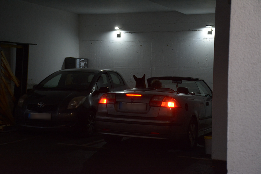 Sergej Trifunović se vratio u zgradu na Voždovcu