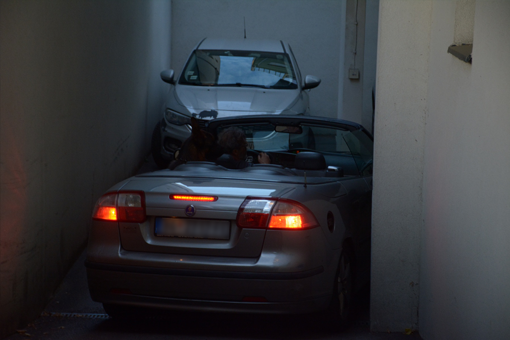 Sergej Trifunović se vratio u zgradu na Voždovcu