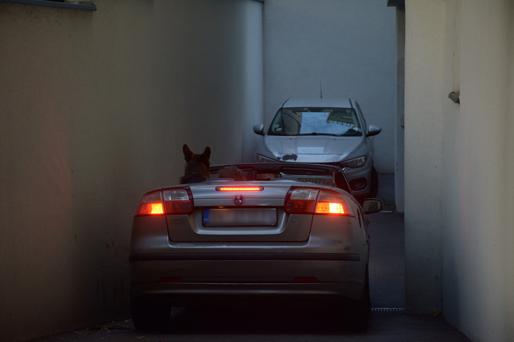 Sergej Trifunović se vratio u zgradu na Voždovcu