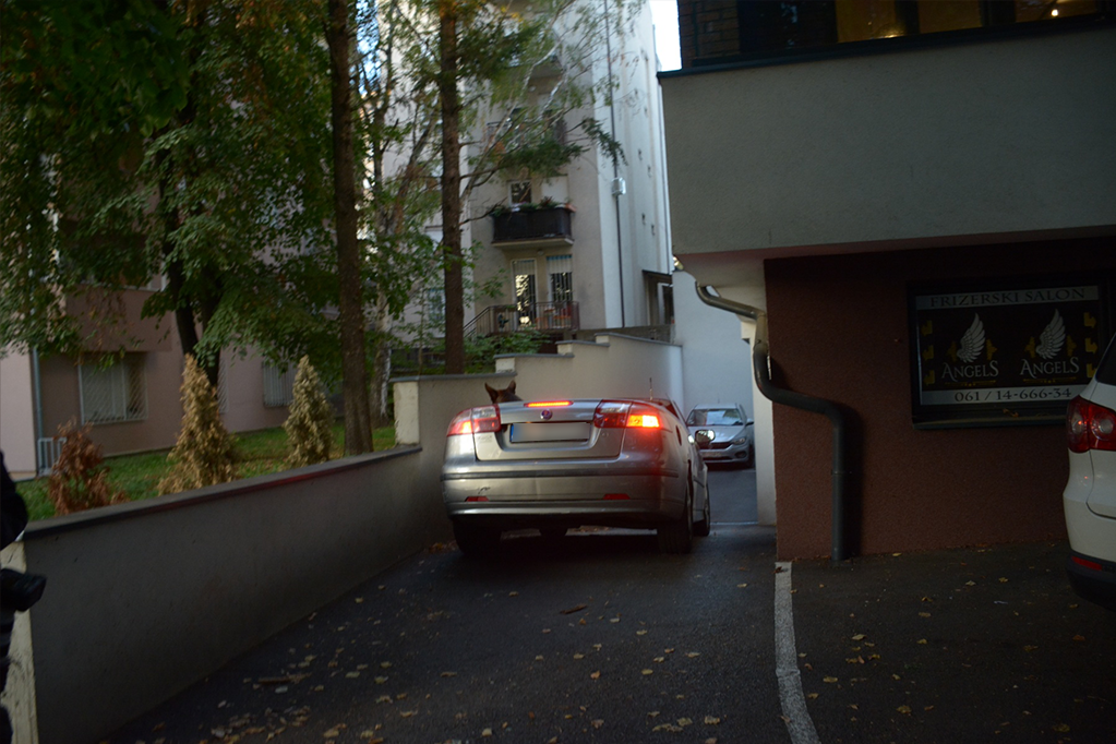 Sergej Trifunović se vratio u zgradu na Voždovcu