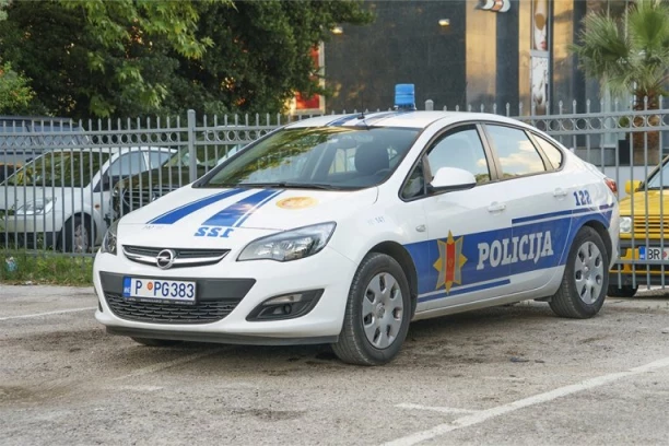 MLADIĆ IZ JAGODINE DIVLJAO PO KOTORU: Ugrizao policajca, LOMIO sve pred sobom, partnerku zatekli KRVAVU!