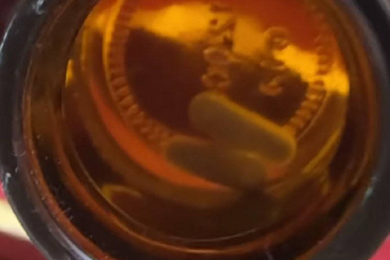 Adam Adaktar Instagram NMN kapsule