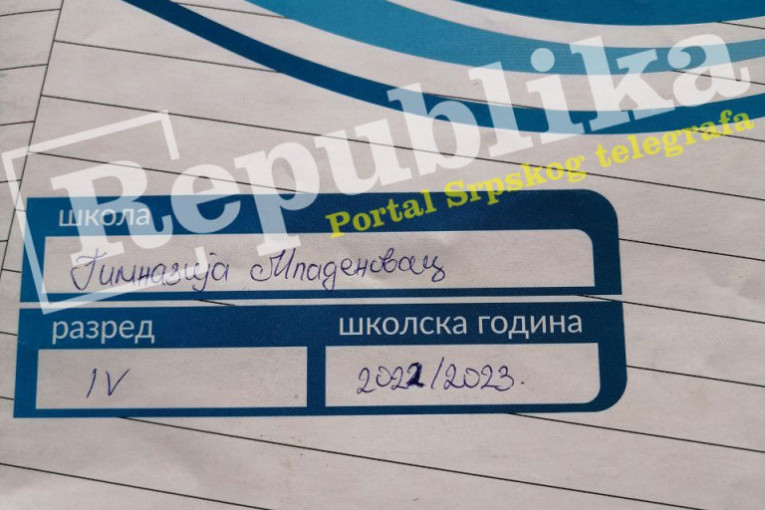 Rad ubijene devojke Kristine Panić