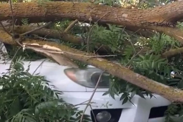 DRVO PALO NA AUTOMOBIL NA IRIŠKOM VENCU: Vatrogasci na terenu, STVARAJU SE OGROMNI ZASTOJI (FOTO)