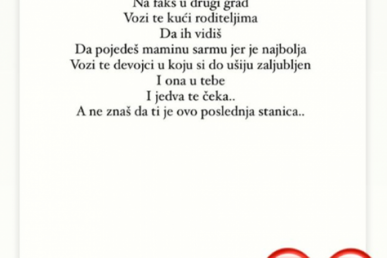 Nina Janković Novi Sad nesreća