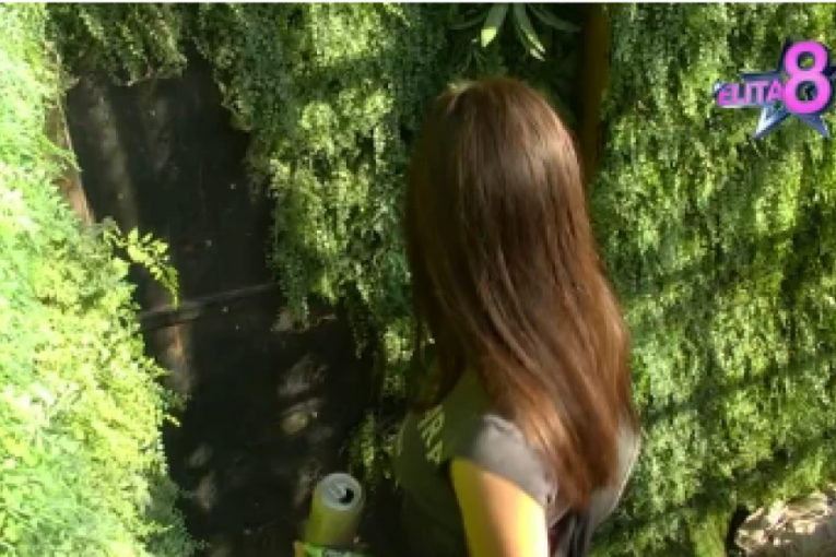 Miona Jovanović i Nenad Aleksić Ša