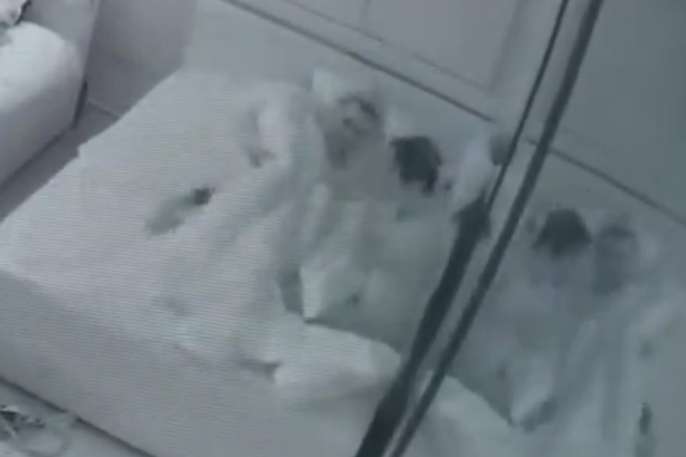 Miljana Kulić vrela akcija Matea Stanković Elita 8 Zadruga