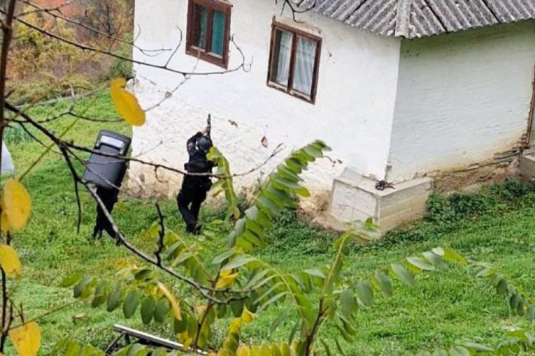 Potraga za Alijom Balijagićem