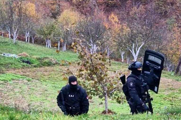 Potraga za Alijom Balijagićem