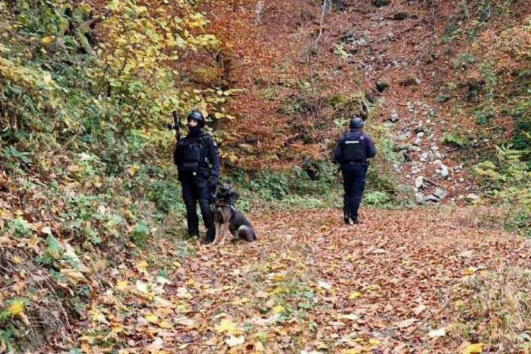 Potraga za Alijom Balijagićem