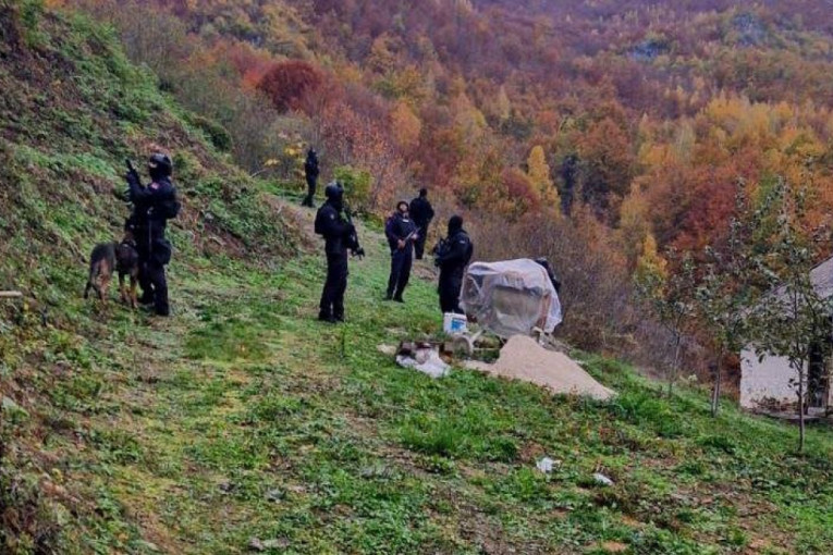 Potraga za Alijom Balijagićem