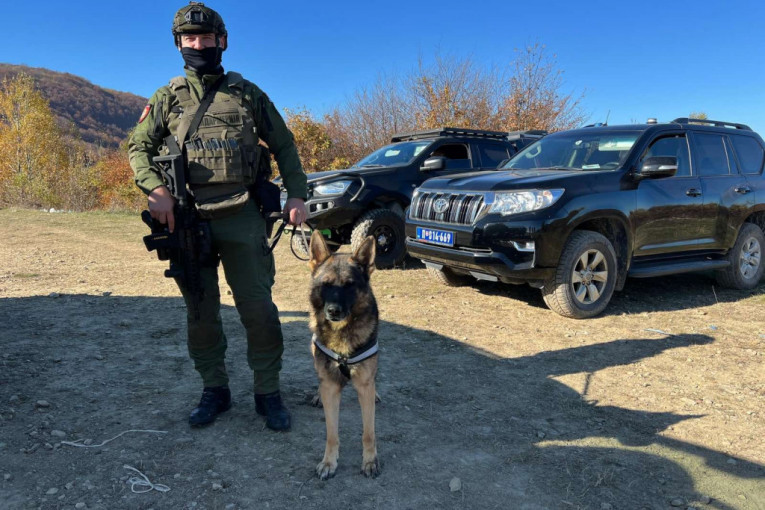 Potraga za Alijom Balijagićem