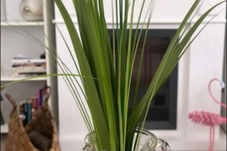 Sanja Marinković podelila slike iz majčinog doma