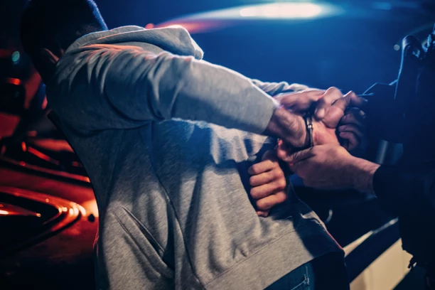 UIHAPŠENO SEDAM PREDATORA U SRBIJI! Policija zaplenila jezive snimke zlostavljanja dece!