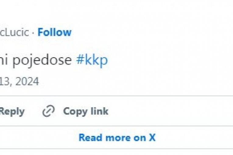 Grobari su jasno iskazali svoje mišljenje