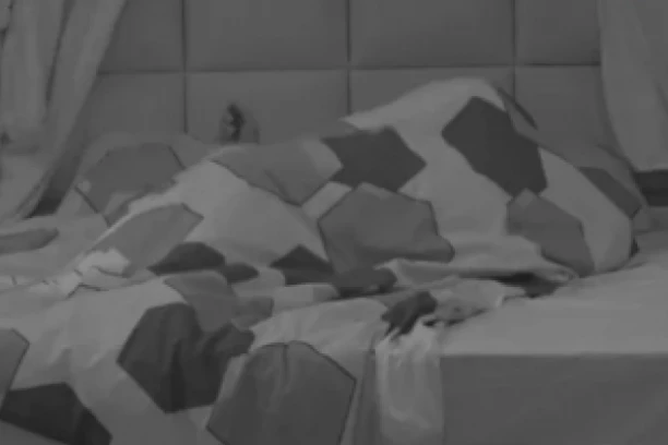 IŽIVLJAVANJE U KREVETU NAKON GNUSNIH UVREDA: Terza dohvatio Sofiju pod pokrivačem, pa počeo da DIVLJA kao nikad!