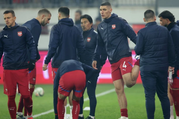 SRBIJA POKRADENA U LESKOVCU: Nemački arbitar Feliks Cvajer radio je protiv nas