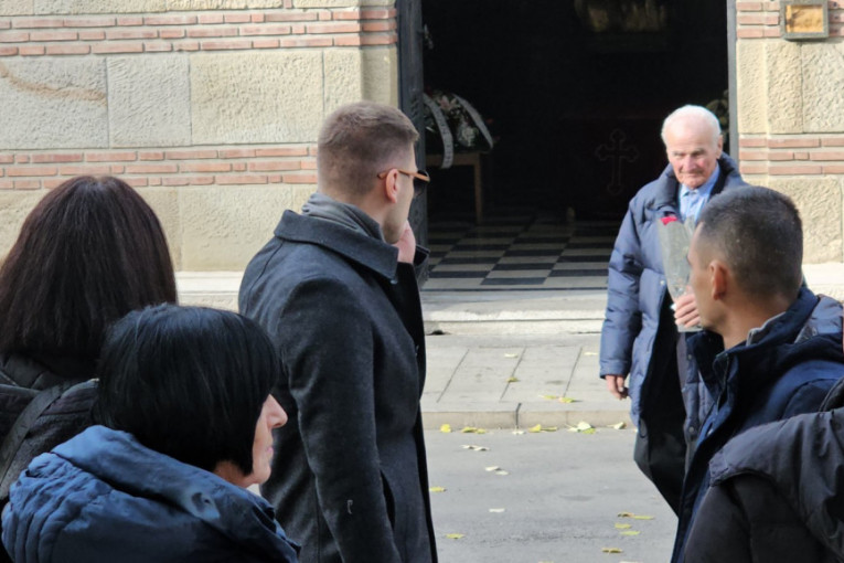 Aleksandar Mitrović, sin Željka Mitrovića