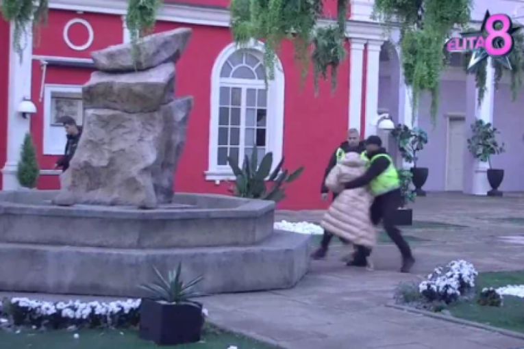 Jelena cele noći pravila haos