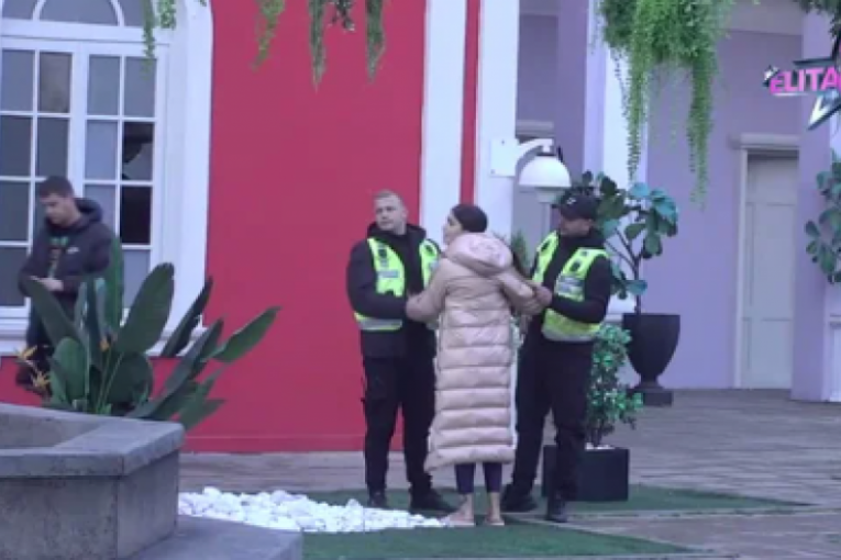 Jelena cele noći pravila haos