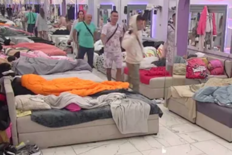 Zadruga 8 Elita uživo