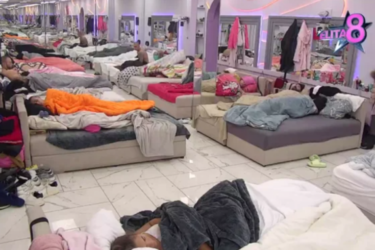 Zadruga 8 Elita uživo