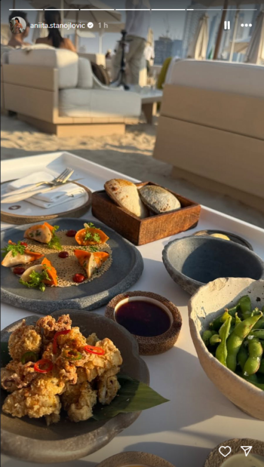 Anita Stanojlović u Dubaiju